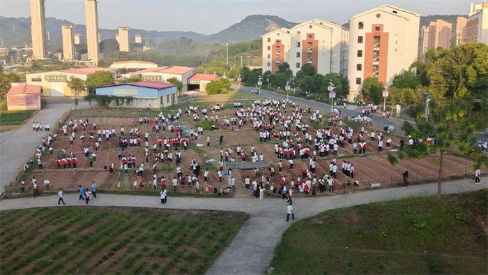 1729495984233053.png 图片 1.png