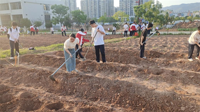 1729496049501045.png 图片 4.png