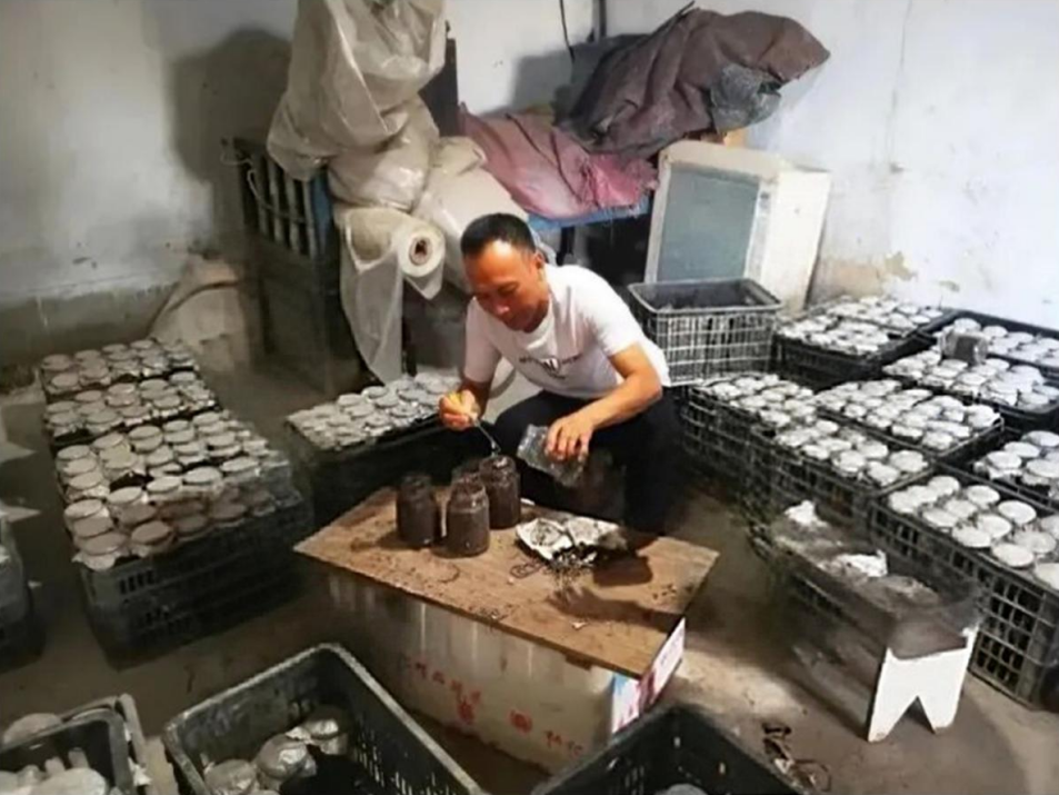 1762167067203426.png 1762167067203426.png